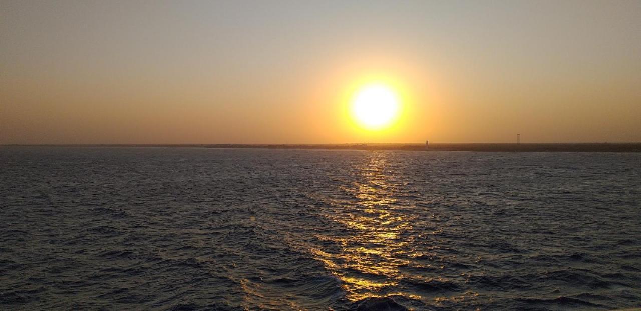 Rosy House Bed & Breakfast Scalea Dış mekan fotoğraf